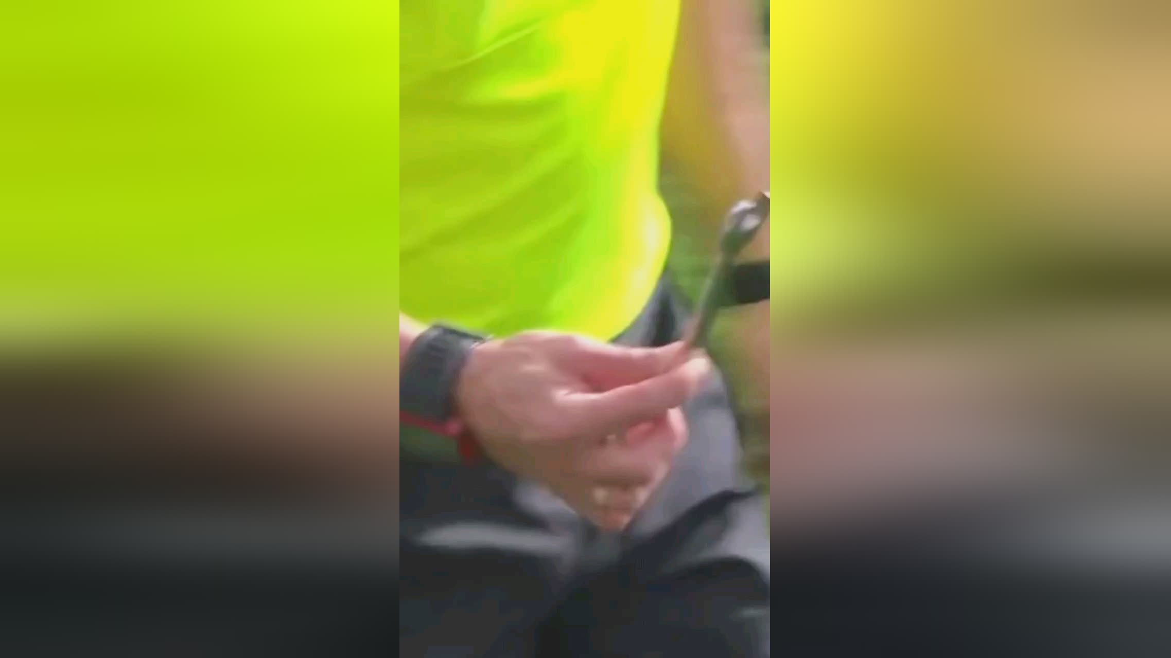 功案例