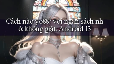 Cách nào yo88 với ngân sách nhỏ không giật Android 13