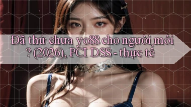Đã thử chưa yo88 cho người mới (2026), PCI DSS   thực tế