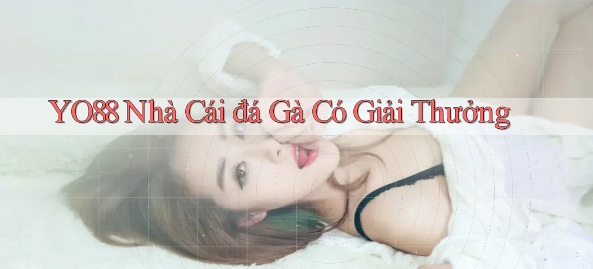 yo88  nhà cái đá gà có giải thưởng