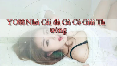 yo88  nhà cái đá gà có giải thưởng